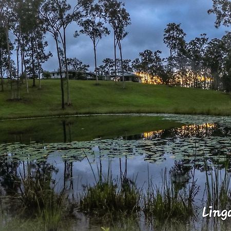 Linga Longa Spiritual Retreat Apartment Curra Ngoại thất bức ảnh